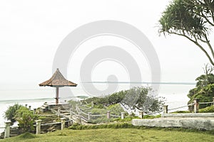 Coral beach with green grass