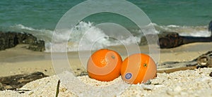 Coral Beach Oranges Sulu Sea SE Asia (panoramic)