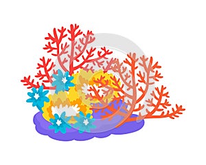 Coral Bleaching Isometric Composition