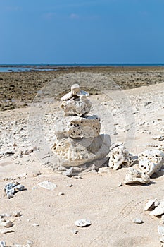Coral bleaching on the sandy beach
