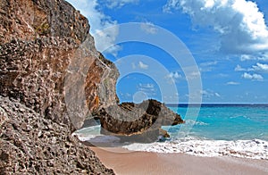 Coral at Bottom Bay Beach, Barbados photo