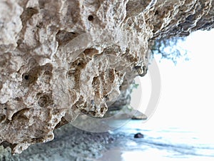 Coral cliffs that stand firmly on the edge of a calm beach