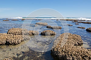 Coral Coast: Blue Holes Seascape