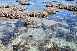 Coral Coast: Blue Holes, Western Australia