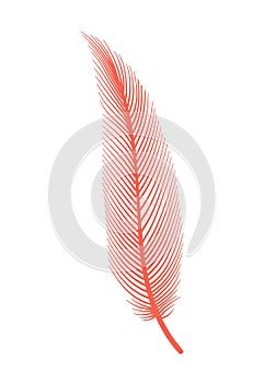 Coral detailed feather of bird. Vector decorative fluffy pink feather of flamingo or goose. Plume icon isolated on white