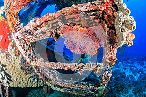 Coral Encrusted Shipwreck