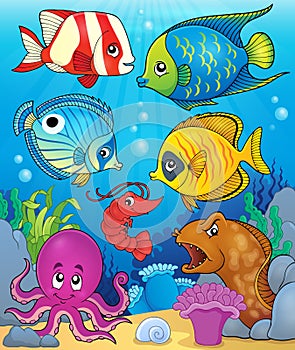 Coral fauna theme image 3