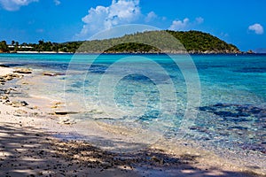 Coral formations hug the beach at Hawksnest in St. John photo