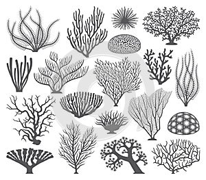 Coral formations Vector Silhouettes