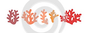 Coral logo. Isolated coral on white background