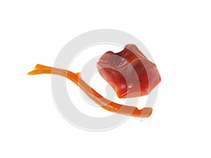 Coral. Origin: Mediterranean Sea