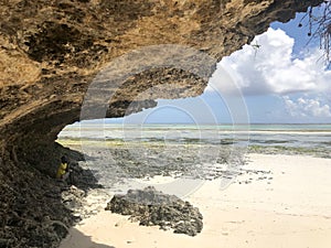 Coral outcrop eroded away by the ocean