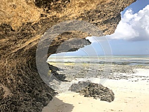 Coral outcrop eroded away by the ocean