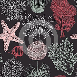 Seamless pattern with hand drawn sea fans corals - gorgonia sketch. Vector background with underwater natural elements. Vintage se