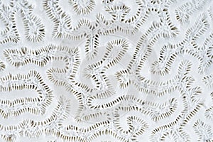 Coral pattern