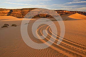 Coral Pink Sand Dunes 1