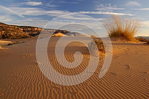 Coral Pink Sand Dunes And Ripples