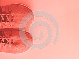 Coral pink trainers on empty background.