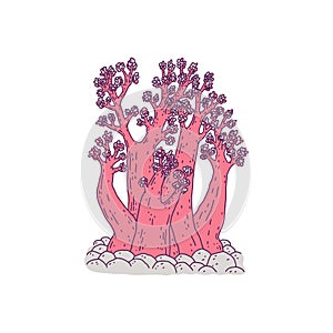 Coral pink. Vector coralline reef ocean animal underwater life doodle line isolated illustration.