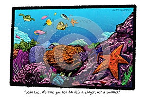 Coral reef color illustration