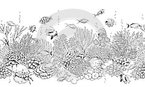 Coral Reef and Fishes Pattern photo