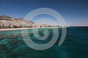 Coral reef in the Gulf of Eilat