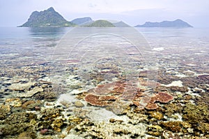 Coral Reef and Islands