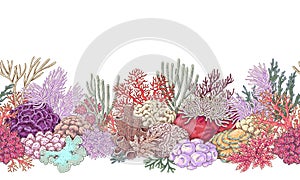 Coral Reef Line Horizontal Pattern