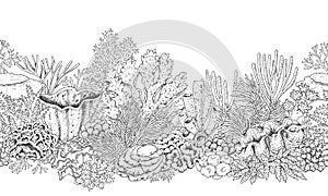 Coral Reef Line Horizontal Pattern