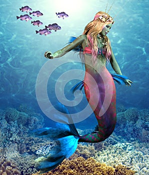Coral Reef Mermaid