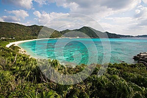 Coral reef next to the beach in Okinawa, Japan photo