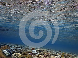 Coral reef, refraction