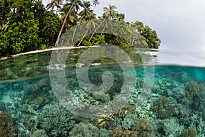 Coral Reef and Remote Tropical Island