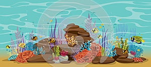 Coral reef with sea fishes