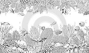 Coral Reef and Swimming Fishes Pattern