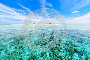 Coral reef tropical caribbean sea, turquoise blue water. Indonesia Sulawesi Wakatobi National Park. Top travel tourist destination