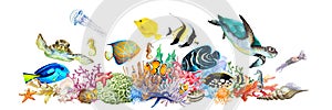 Coral reef with tropical fish, clownfish, triggerfish, angelfish, blue and yellow tang, sea turtles, sea horses, jellyfish, squid