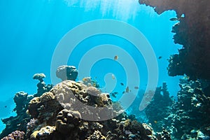 Coral Reef And Tropical Fish In Red Sea, Egypt. Blue Turquoise Clear Ocean Water, Hard Corals And Rock In The Depths, Sun Rays