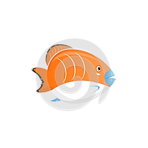 Coral reef tropical fish vector illustration. Vector sea fish isolated on white background.