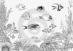 Coral reef with tropical fishes. Black and white vector.