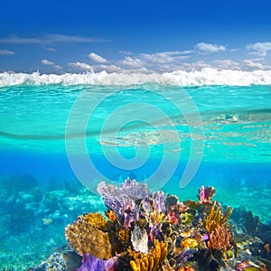 Coral reef underwater up down waterline photo