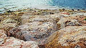 Coral reefs on the beach as a breakwater