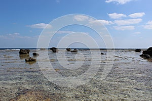 Coral reefs protect lagoons from Pacific Ocean\'s rough waves