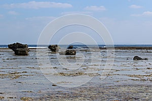 Coral reefs protect lagoons from Pacific Ocean\'s rough waves