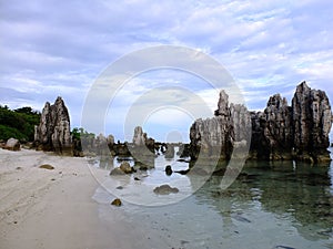 Coral rocks on a beach