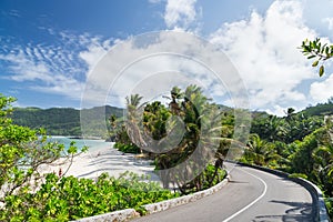 Coral sandy beach among the palm trees along the road. Seychelles.