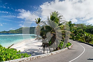 Coral sandy beach among the palm trees along the road. Seychelles.