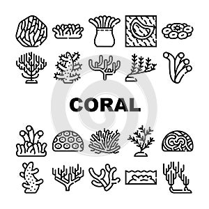 Coral Sea Aquatic Reef Collection Icons Set Vector