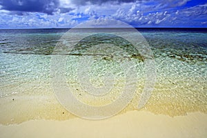 Coral sea beach maldives