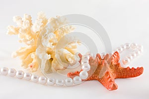 Coral, seastar and rope of pearls